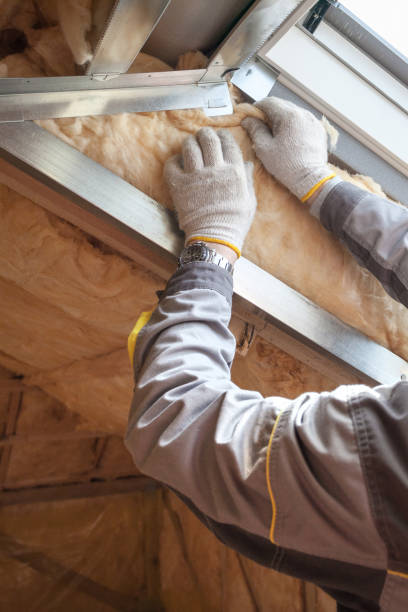 Best Blown-in Insulation in Ruskin, FL