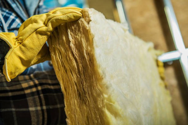 Best Insulation for Specific Applications in Ruskin, FL