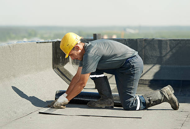 Best Residential Insulation in Ruskin, FL