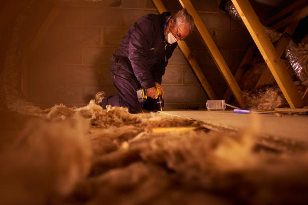 Best Cellulose Insulation in Ruskin, FL