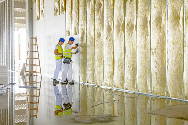 Types of Insulation We Offer in Ruskin, FL